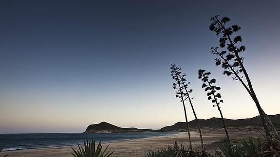 Playa salvaje de los Genoveses, ubicada en pleno corazón del Parque Natural Cabo de Gata-Níjar