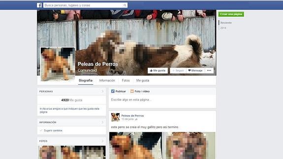 Facebook se resiste a cerrar la página 'Peleas de perros'