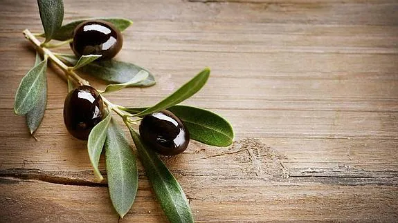 El aceite de oliva se acerca a una valoración próxima a la rentabilidad. 