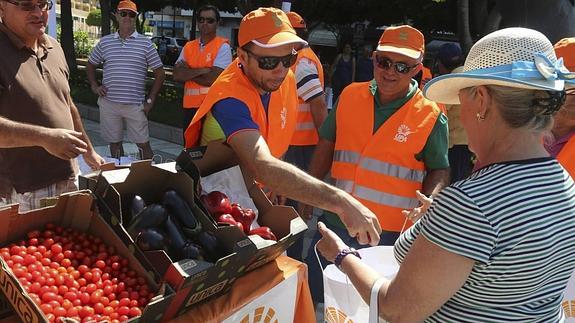 Miembros de la Unión de Pequeños Agricultores (UPA) en Almería repartiendo hoy 5.000 kilos de hortalizas entre los viandantes. 