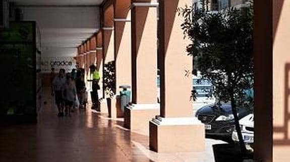 El Ayuntamiento de Loja pide que los vecinos asuman el cuidado de las macetas municipales