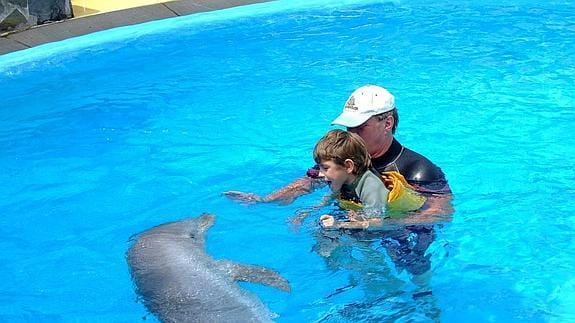 Delfines para despertar las emociones | Ideal