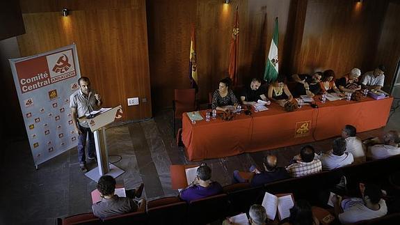 Un instante de la reunión del Comité Central del Partido Comunista de Andalucía