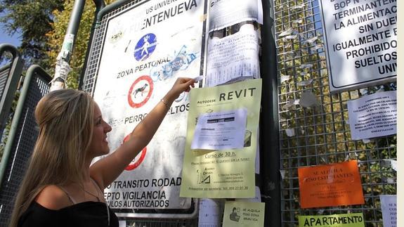 Una joven coge un número de teléfono de los anuncios de pisos en el campus.