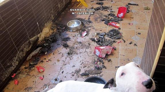 Imagen facilitada por la Guardia Civil que, junto a responsables de Bienestar Social, hallaron una menor en una vivienda de Estepona (Málaga) en estado de abandono 