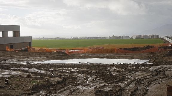 Imagen de ayer de los campos de entrenamiento ya sembrados. Aunque el césped debe agarrar todavía mejor, ya se deja ver. 