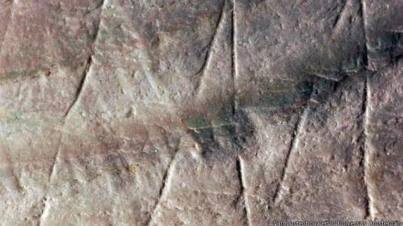 Encuentran grabados de 'Homo Erectus' en conchas de hace medio millón de años