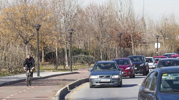 Carril bici que circula paralelo a la avenida de la Ciencia, una de las pocas zonas que cuenta con una calzada propia para dar pedales en Granada.
