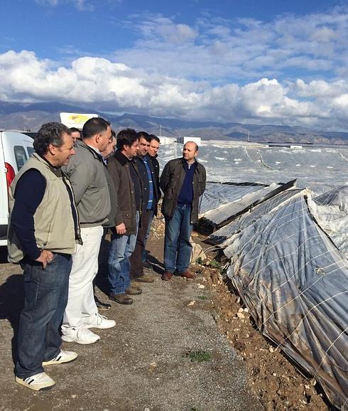 Una tormenta de granizo en El Ejido vuelve a destrozar invernaderos