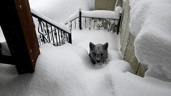 Fotografía facilitada por Óscar Montero, un vecino de la localidad leonesa de Prioro. 