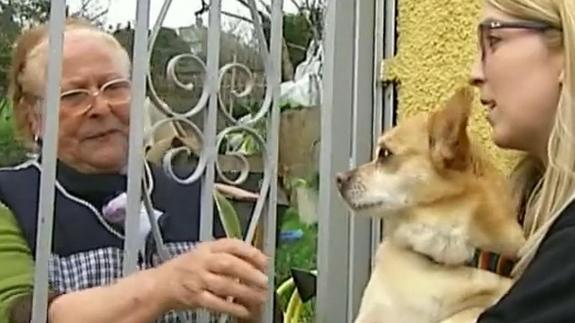 Un juez obliga a todo un edificio a deshacerse de sus perros por la "fobia canina" de un vecino