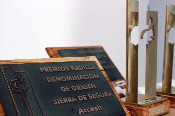 Premios Ardilla. :: ideal