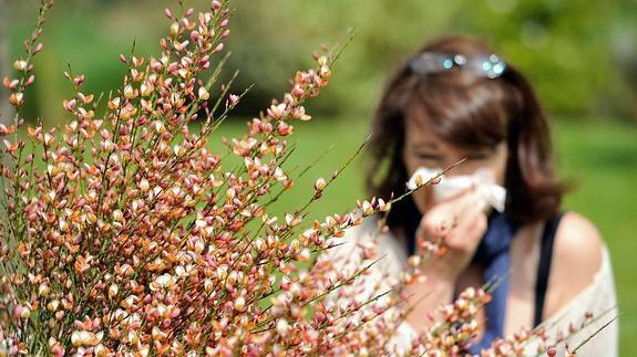 Los efectos de la floración de las plantas sobre los alérgicos son muy evidentes estos primeros días de mayo.