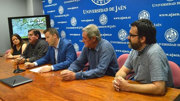 El Instituto de Arqueología Ibérica de la UJA identificará los sitios arqueológicos de Mengíbar