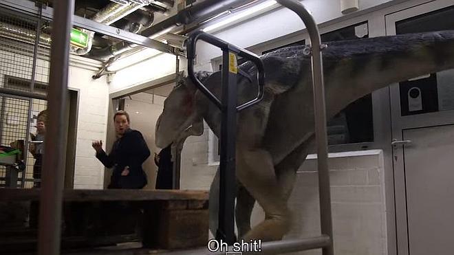 Dos dinosaurios de goma asustan a Chris Pratt, entrenador de velociraptors de 'Jurassic World'