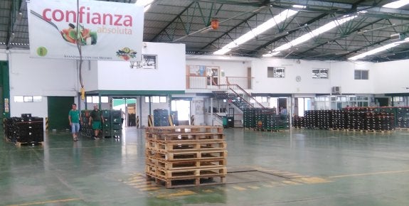 Almacén de subasta de AgrupaEjido en el Polígono La Redonda, tras la venta de ayer jueves.