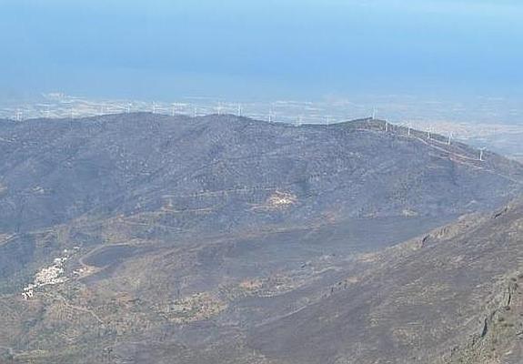 El corazón calcinado del alcornocal, donde se divisa el antiguo cortijo de las Piedras, centro de la explotación de corcho.