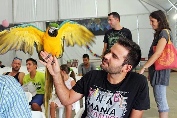 Tortugas, aves, coballas, camaleones e iguanas toman la Feria de Almería