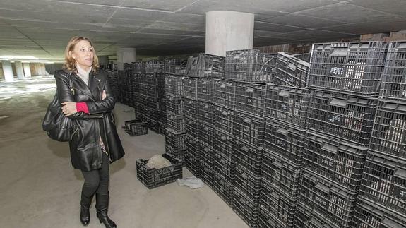 Isabel Nieto, concejala de Urbanismo, junto a las piedras de la primera plaza de toros de Granada que están guardadas en cajas.