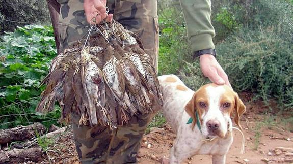 Un cazador felicita a su perro por las piezas cobradas en una finca de Jaén. 