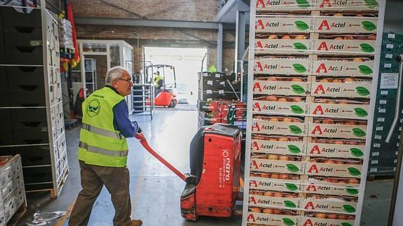 Instalaciones del banco de Alimentos de Granada. 