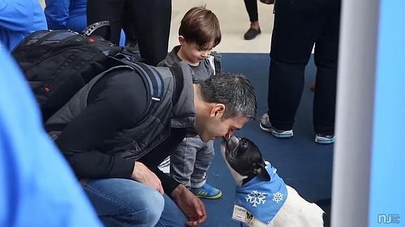 Un equipo de perros para calmar los nervios en los aeropuertos