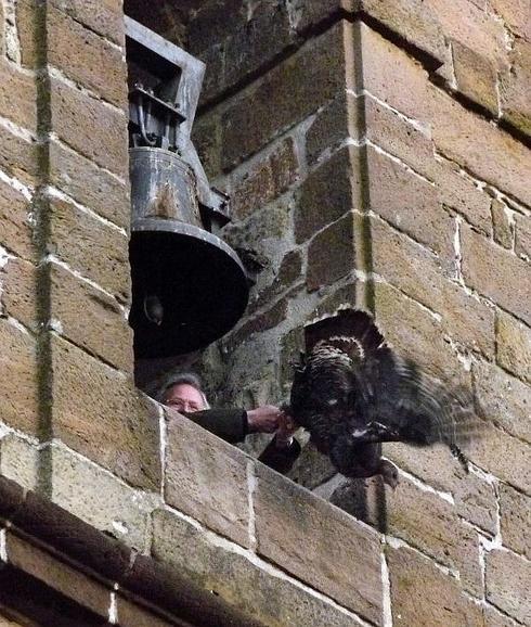 Pacma pide medidas cautelares para evitar el lanzamiento de la pava de Cazalilla