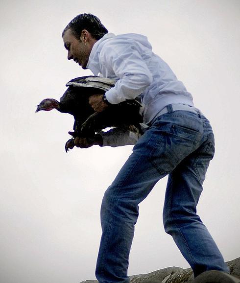 Una imagen de archivo de la captura de la pava tras su lanzamiento. 