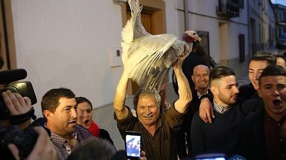 Denuncian el "estrés, el pánico y el sufrimiento" al que fueron sometidas las pavas de Cazalilla