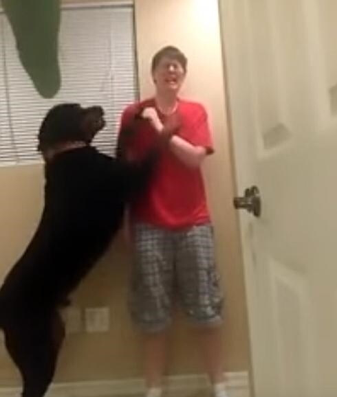La policía mata al joven con síndrome de Asperger famoso por el vídeo en el que su perro le consuela