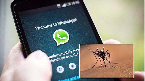 El misterioso mensaje de WhatsApp que desató el pánico entre miles de personas