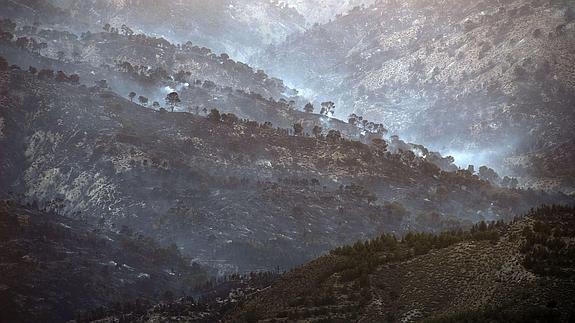 Imagen del paraje tras el fuego en 2015. 