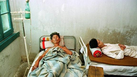 Tiempo de mascar raíces