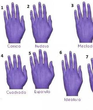 fricción cuadrado Negligencia médica Cómo es tu personalidad y tu salud según la forma de tu mano | Ideal
