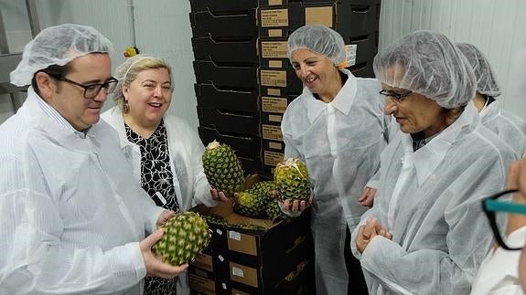 El PSOE defenderá con iniciativas europeas la producción ecológica agraria