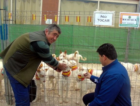 Jaulas con los perros.