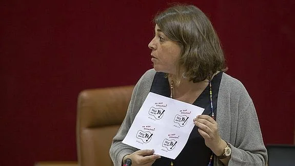 La portavoz adjunta de IU en el Parlamento, Elena Cortés. 