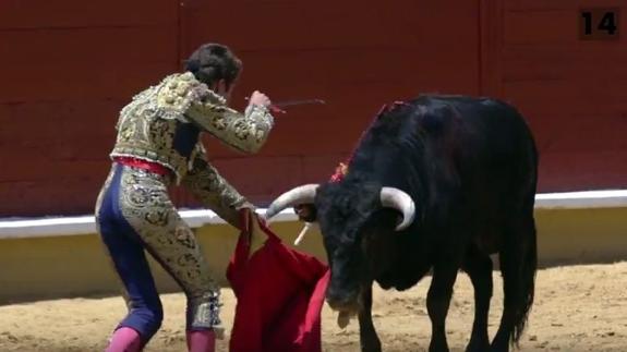 Un alumno de la escuela ante el toro. 