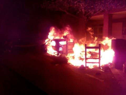Arden dos vehículos y una palmera en una madrugada de vértigo en Jaén