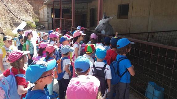 Alumnos del CEIP San Gabriel realizan una ruta educativa en el medio rural en Lubrín
