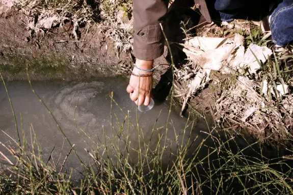 Un técnico recoge una muestra de agua contaminada en una acequia de la Vega.