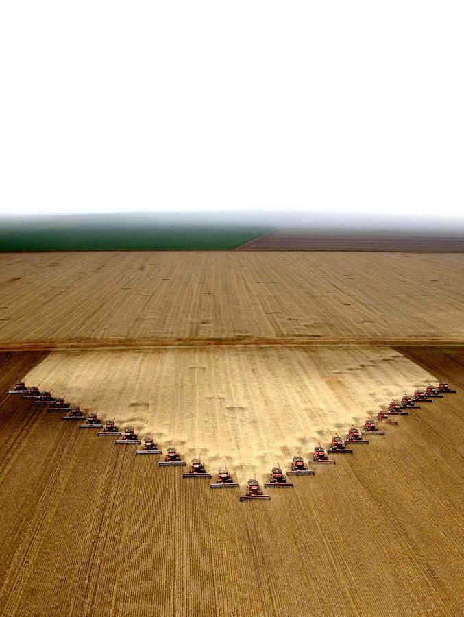 Deforestación. Cosechadoras en terrenos de Mato Grosso (Brasil) ganados a la selva para el cultivo de soja. :: 