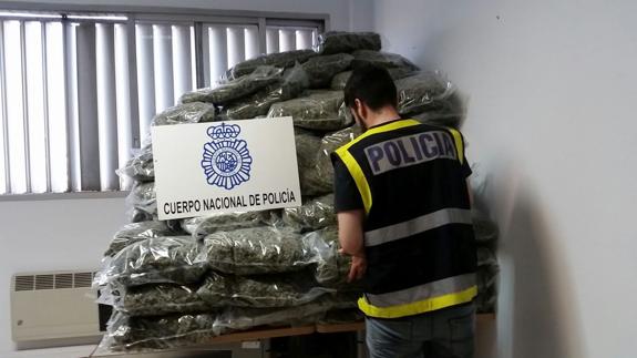 12 detenidos por enviar 205 kilos de cogollos de marihuana escondidos entre cebollas