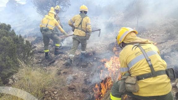 Controlado el incendio forestal declarado en Lújar