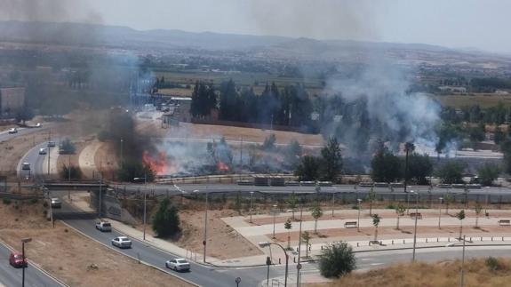 Bomberos apagan un incendio en un descampado de La Chana