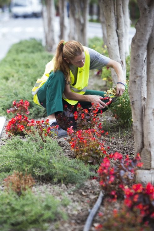 Una empleada en labores de jardinería en la anterior edición de planes de empleo.