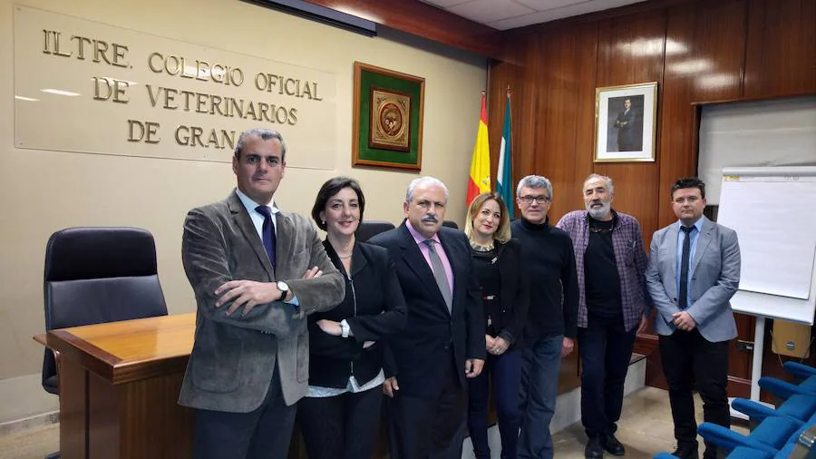 En la imagen, la Junta de Gobierno integrada por: Presidente: Francisco de Asís Muñoz Collado. Vicepresidente: Antonio Francisco Miranda Pinilla Secretario: José Miguel Mayor Moreno, Vocales: Francisco García Bernier, María Luisa de la Torre Serrano y Fernando Muñoz Gámez. Vocal suplente: Pilar Prados Linares.