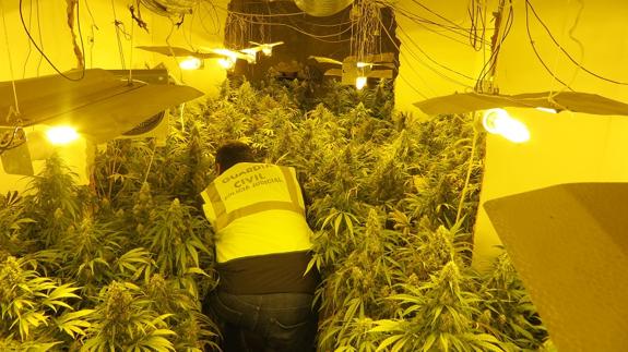 Siete arrestados en una operación antidroga en Pozo Alcón