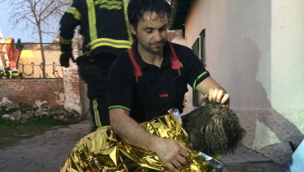 Los bomberos rescatan a una perra tras caerse a un pozo de 50 metros de profundidad