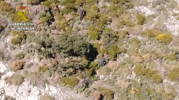 Sorprenden a dos cazadores furtivos disparando a una cabra en una zona de parque natural